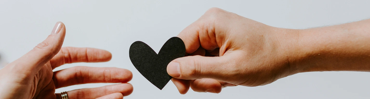 About Ripple Learning